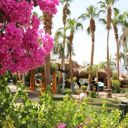 Herrmes hotel suites Sharm El-Sheikh Exterior foto