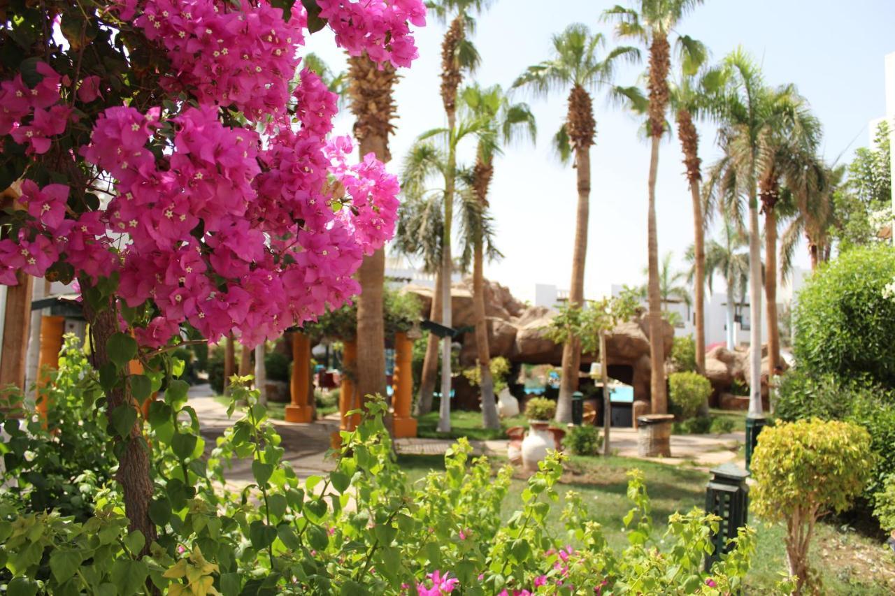 Herrmes hotel suites Sharm El-Sheikh Exterior foto